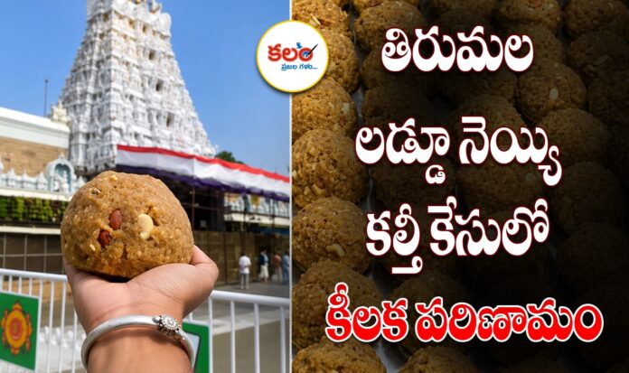 Tirumala Ghee Scam
