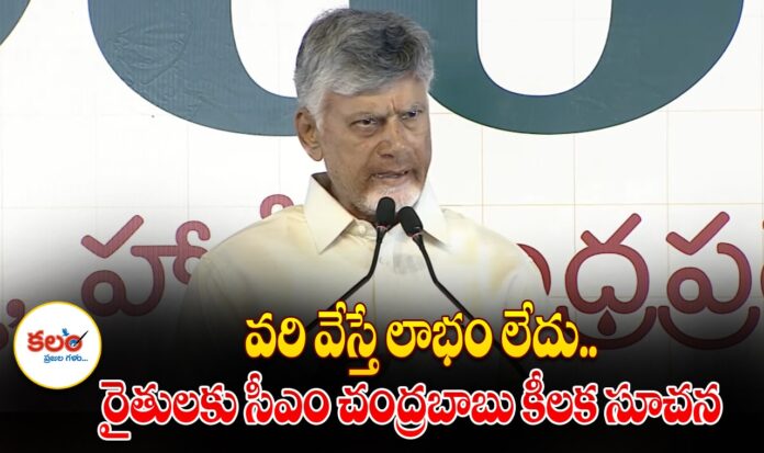CM Chandrababu