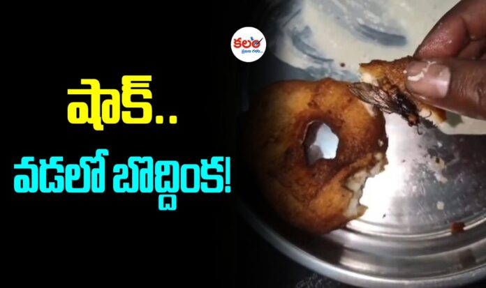 Cockroach in Vada