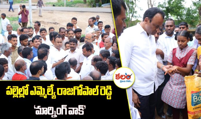 Raj Gopal Reddy