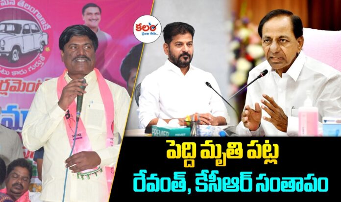 Peddi Sudarshan Reddy