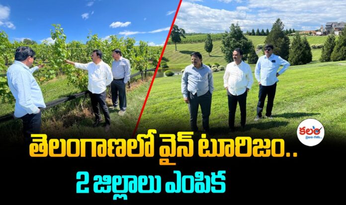 Wine Tourism