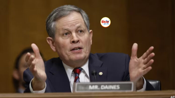 Steve Daines