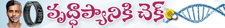 360 Banner