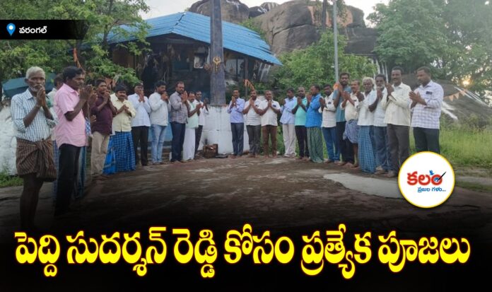 Sudarshan Reddy