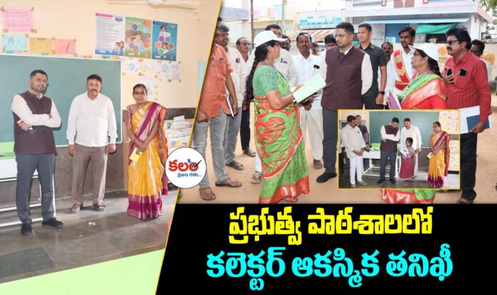 Gadwal Collector