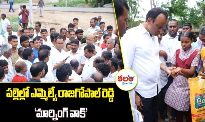Raj Gopal Reddy