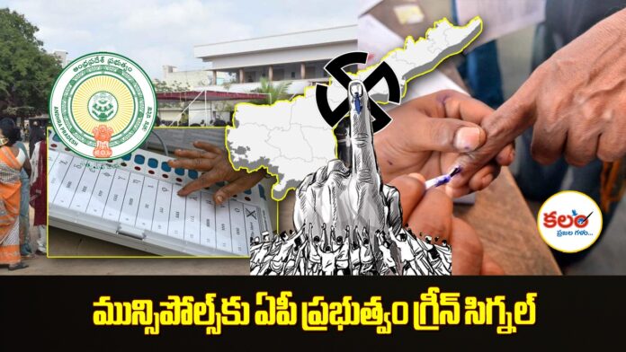 AP Municipal Elections