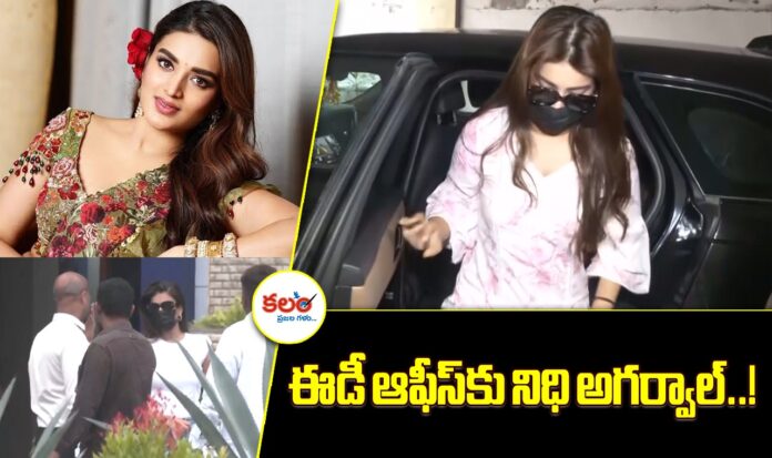 Nidhi Agerwal