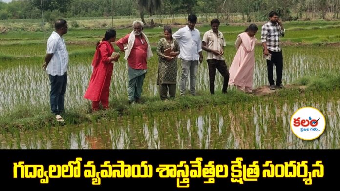 Jogulamba Gadwal