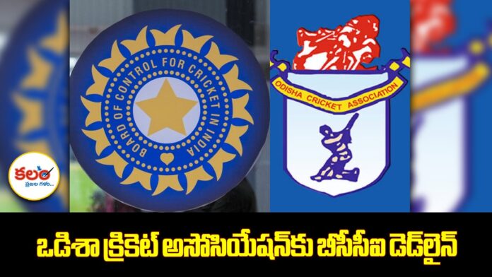 Odisha Cricket Association