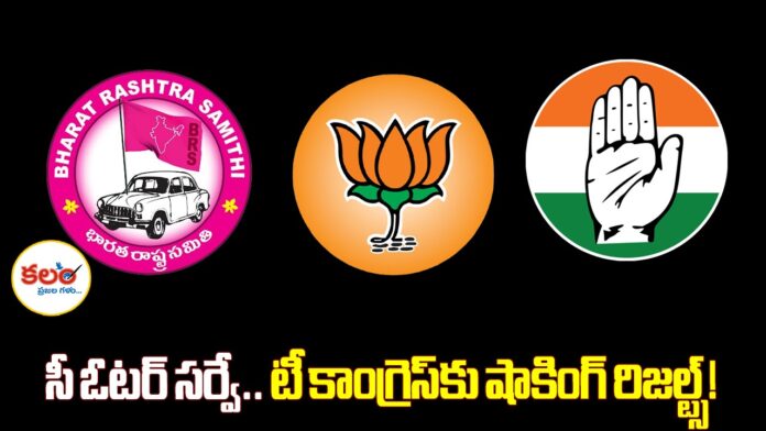 C-Voter Survey