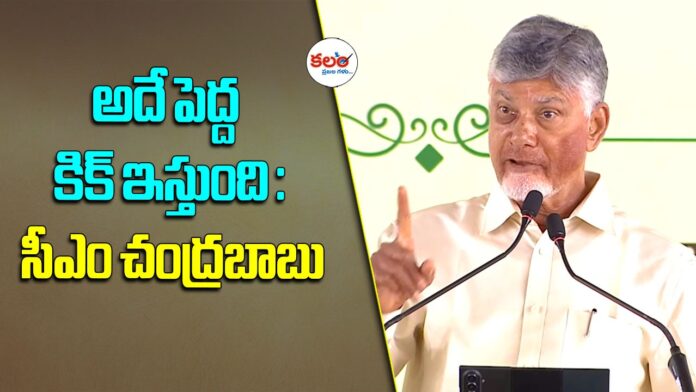 CM Chandrababu