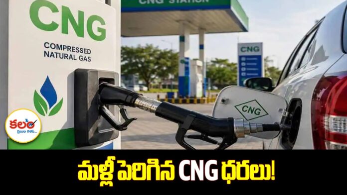 CNG Price