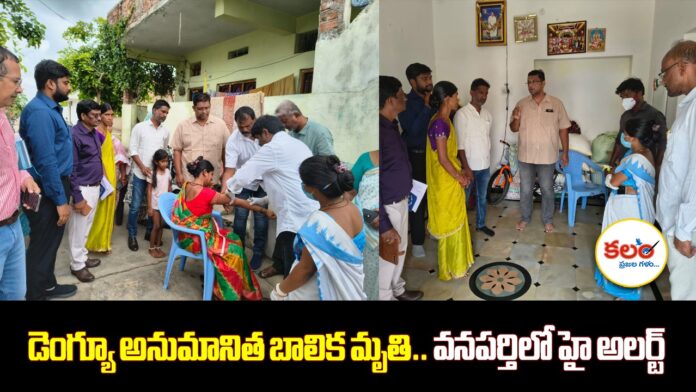 Wanaparthy