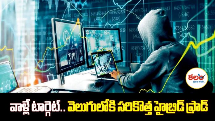 Hybrid Cyber Fraud