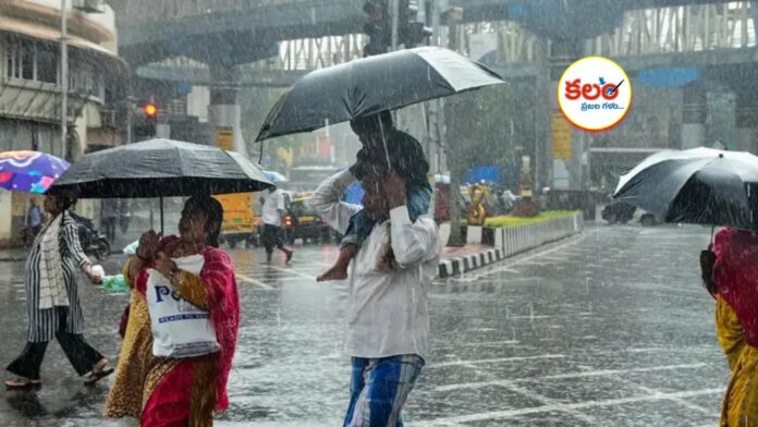 Rain Alert