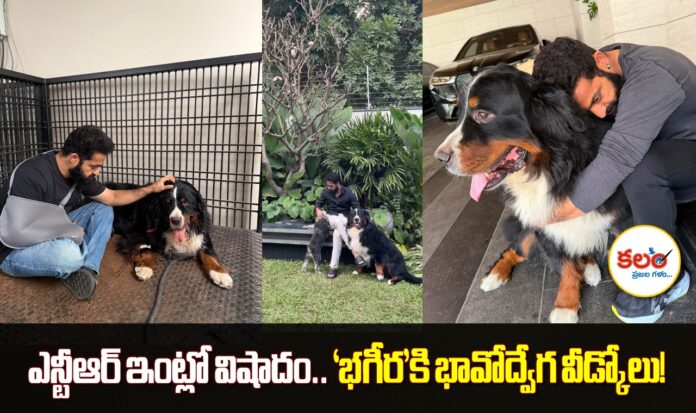 Jr NTR
