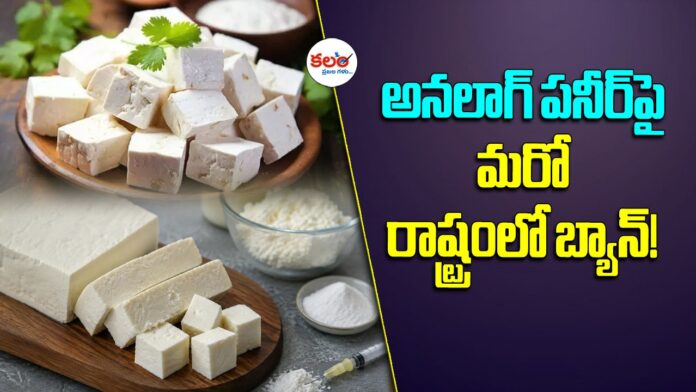 Analogue Paneer