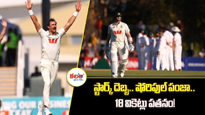 Mitchell Starc