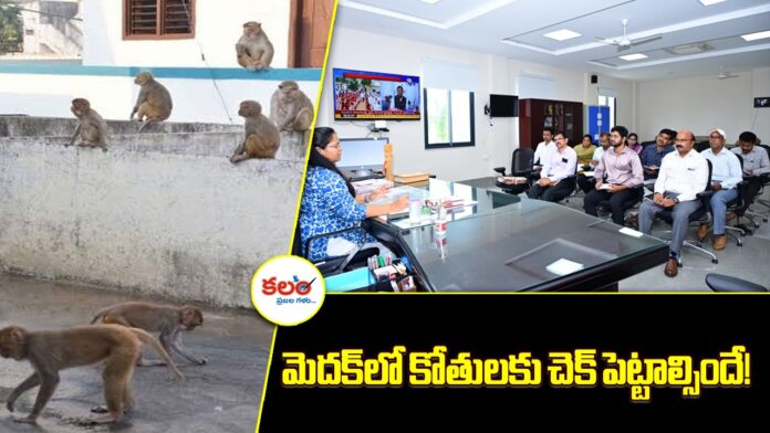 Medak