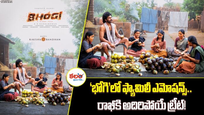 Bhogi