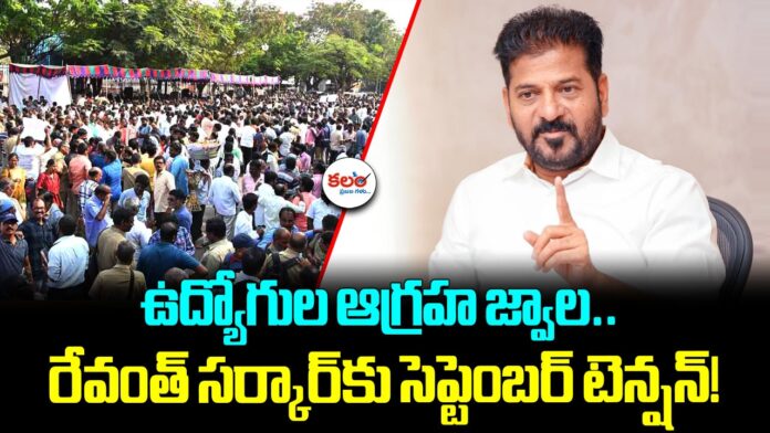Telangana Employees