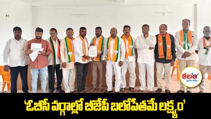 Wanaparthy