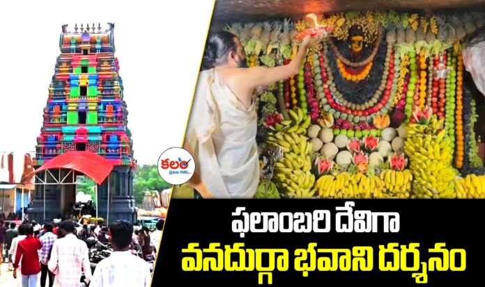 Edupayala Vanadurga