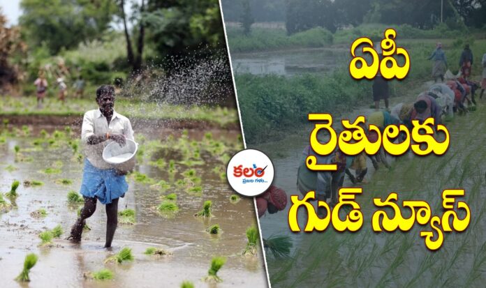 AP Farmers