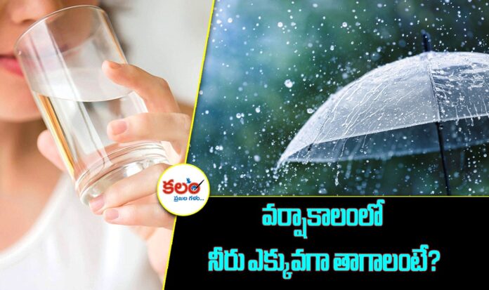 Rainy Season Health Tips