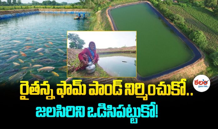 Farm Ponds