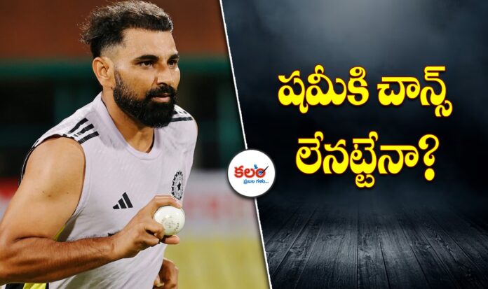 Mohammed Shami