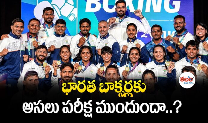 Indian Boxers