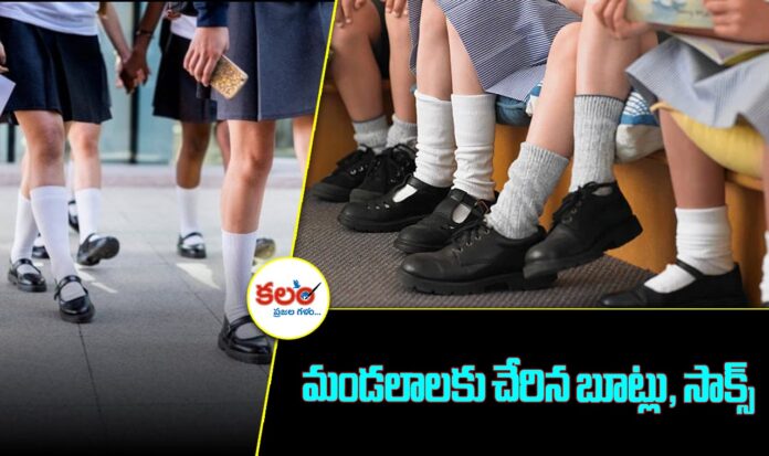 Shoe Distribution