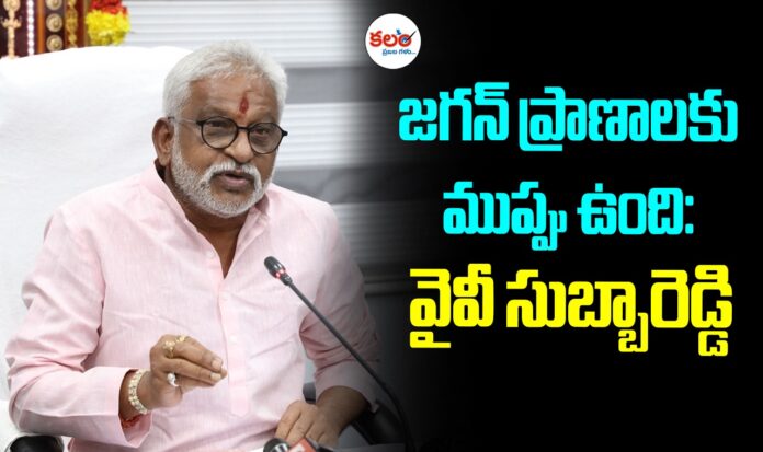 YV Subba Reddy