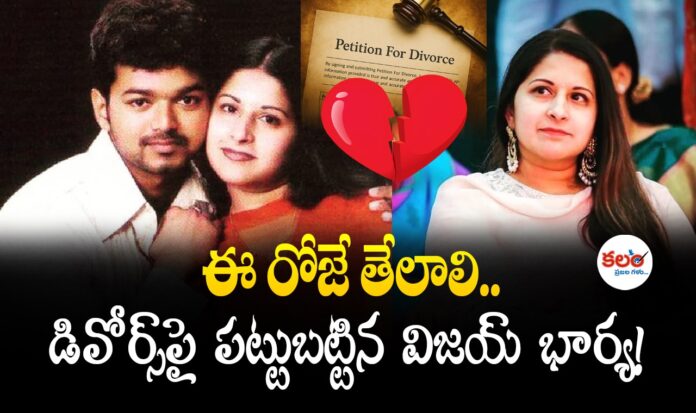 CM Vijay