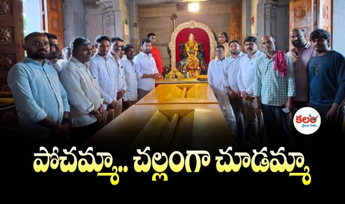 Boath MLA