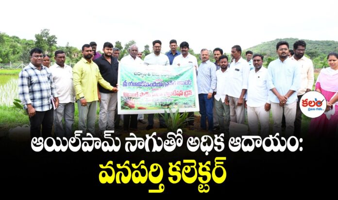 Wanaparthy