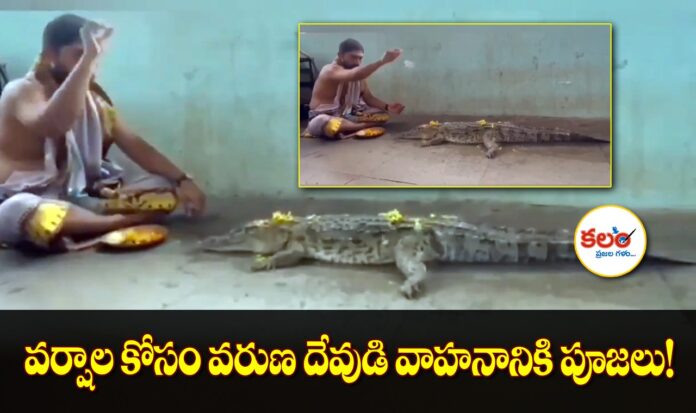 Gadwal