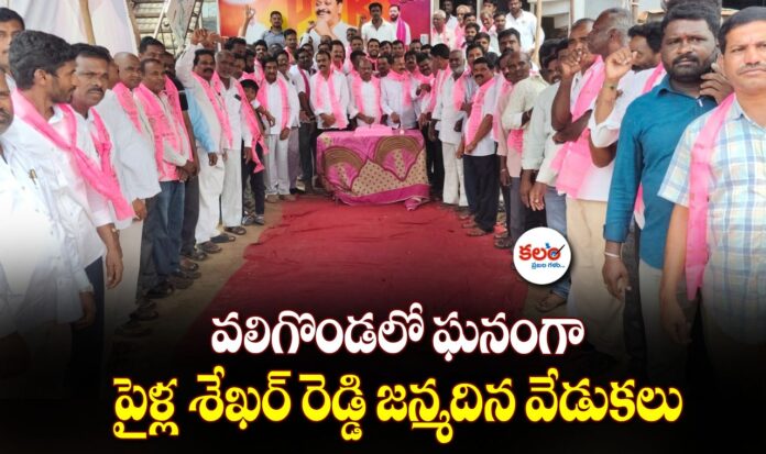 Shekar Reddy