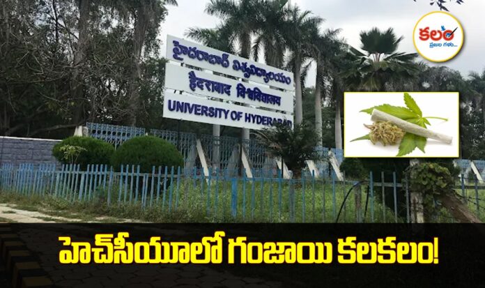 HCU