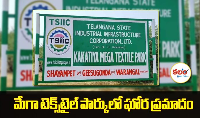 Geesugonda Textile Park