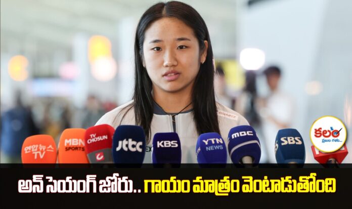 An Se-young