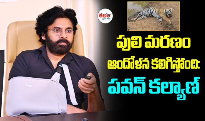 Pawan Kalyan