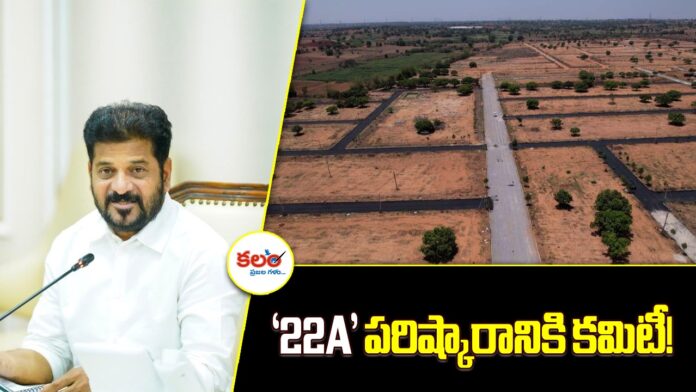 22A Land Issue