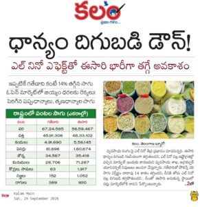 Telangana Paddy Cultivation