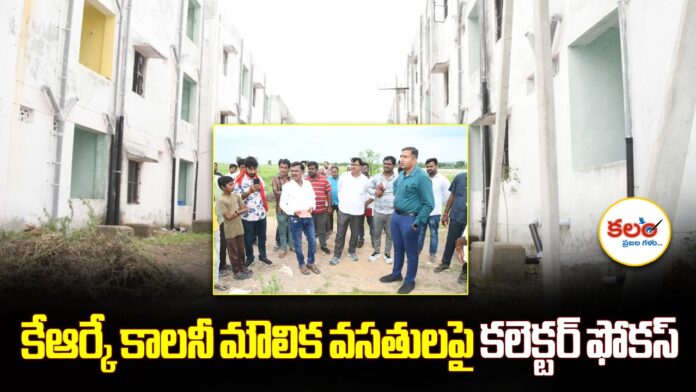 KRK Colony