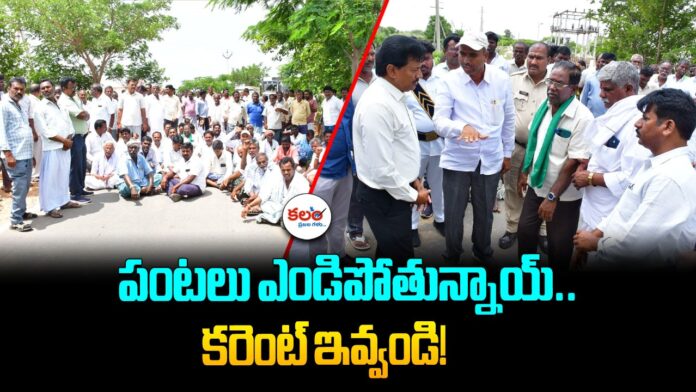 Wanaparthy Farmers