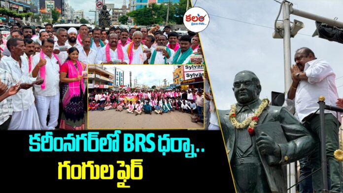 BRS Protest